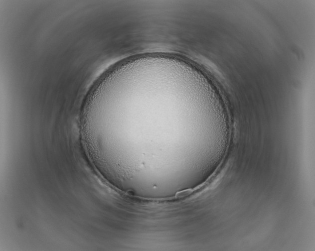 X0000110981212200907022048