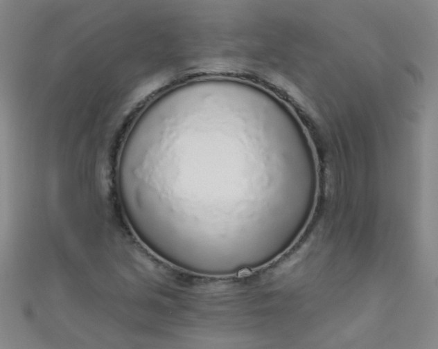 X0000110981213200907022048