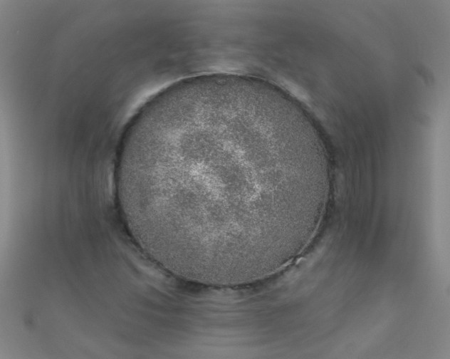 X0000110981214200907022048