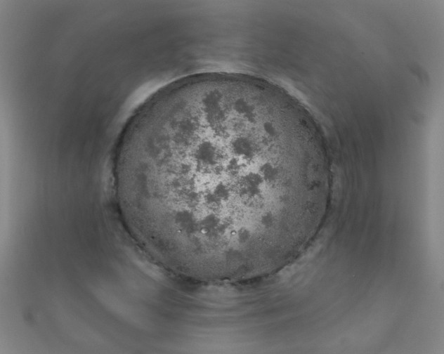 X0000110981215200907022048