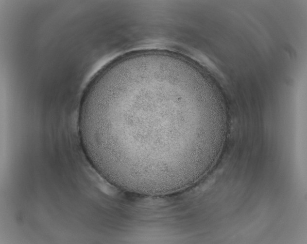 X0000110981216200907022048