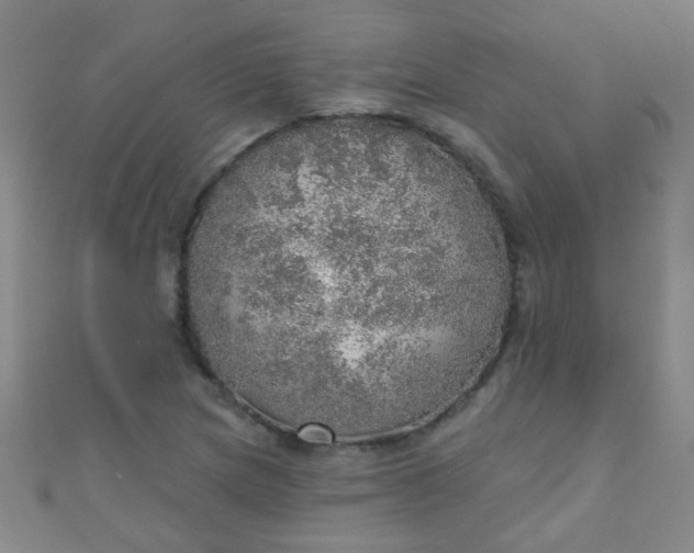 X0000110981217200907022048