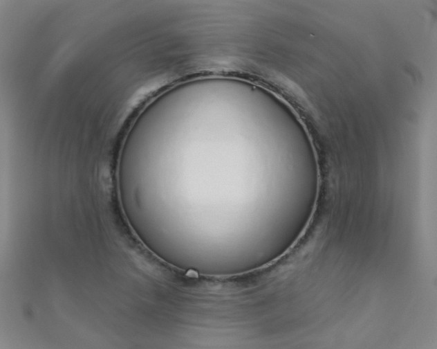 X0000110981218200907022048