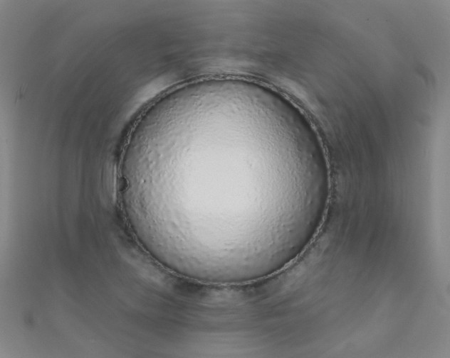 X0000110981219200907022048