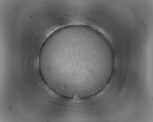 X0000110981220200907022048