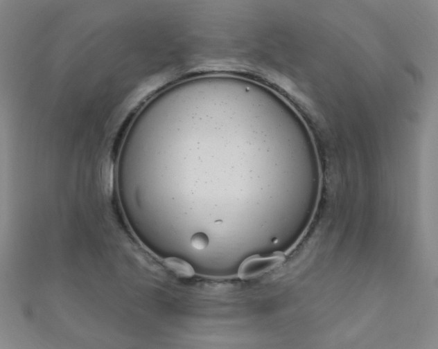 X0000110981221200907022048