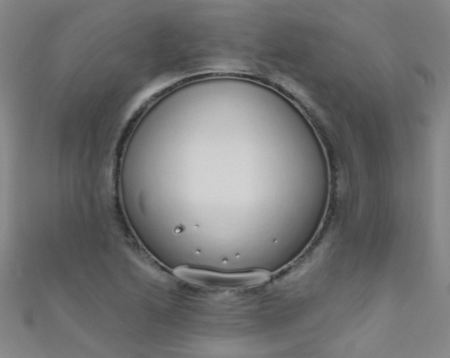 X0000110981222200907022048