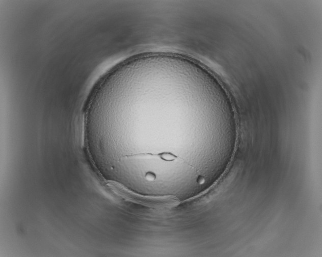 X0000110981223200907022049