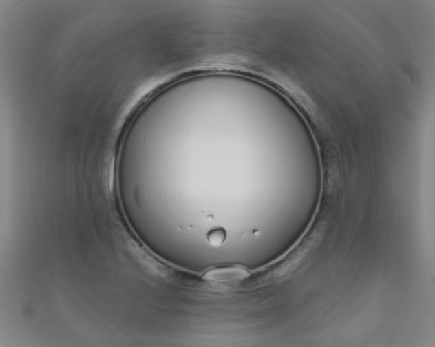 X0000110981224200907022049