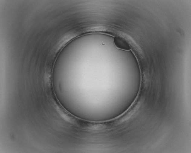 X0000110981225200907022049