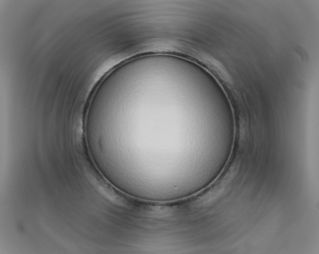 X0000110981226200907022049