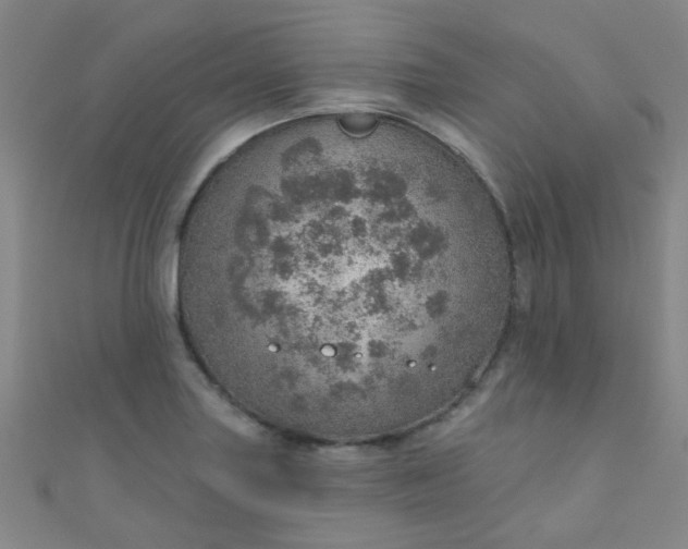 X0000110981227200907022049