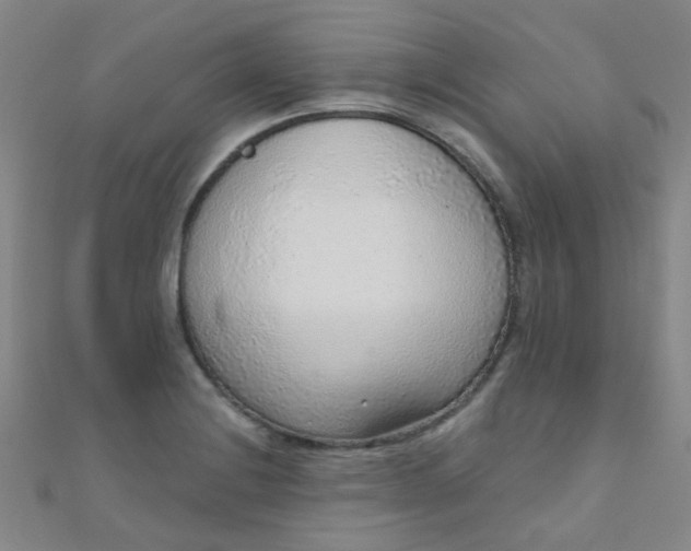 X0000110981228200907022049