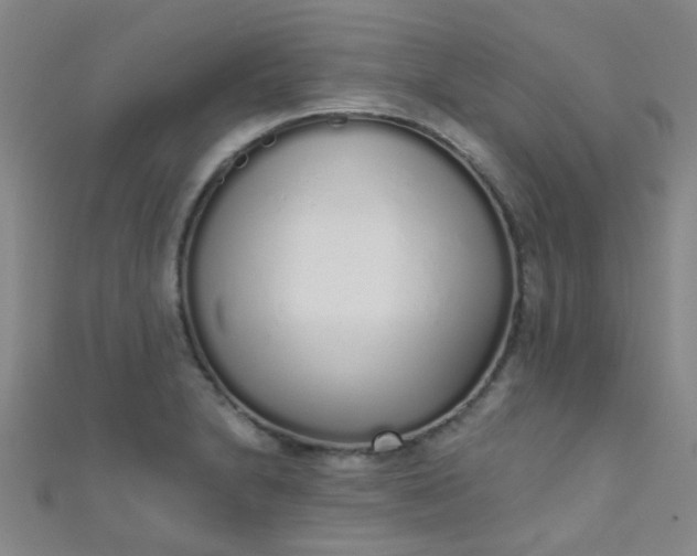 X0000110981230200907022049