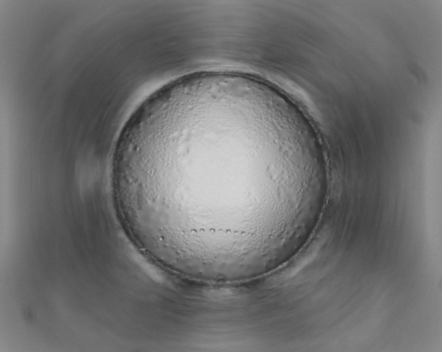 X0000110981231200907022049