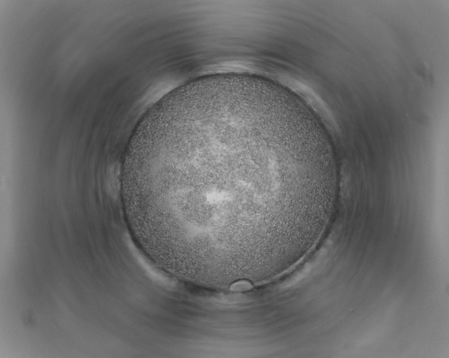 X0000110981233200907022049