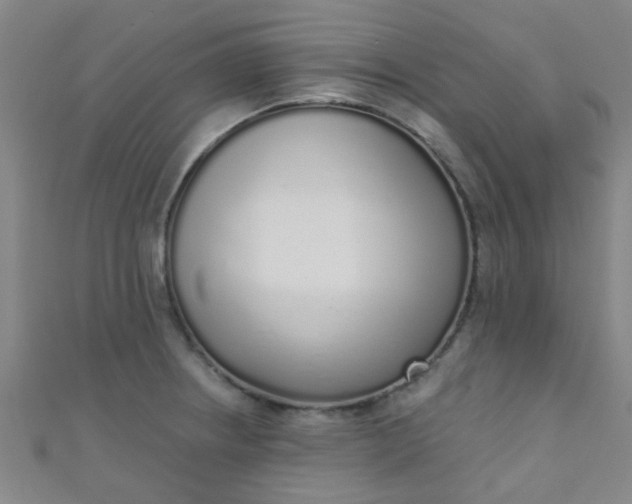 X0000110981234200907022049