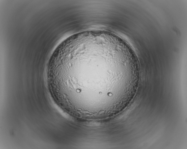 X0000110981235200907022049