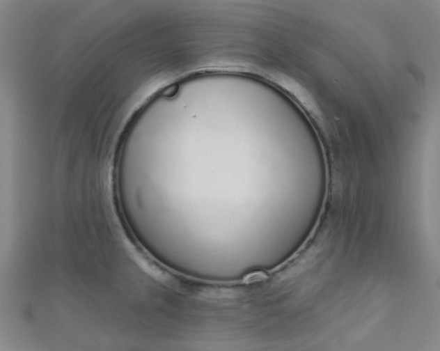 X0000110981237200907022049