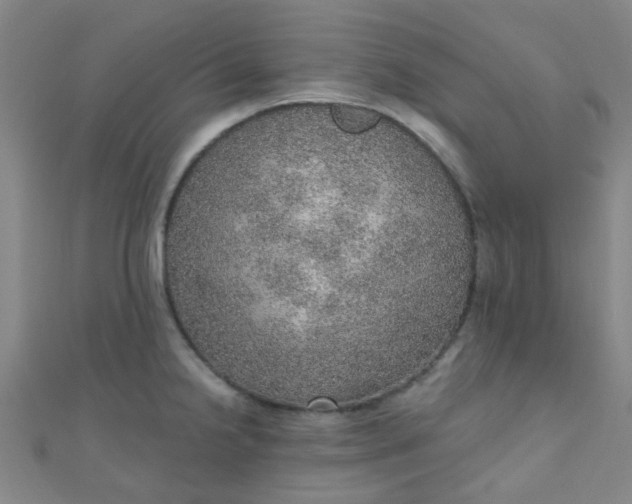 X0000110981238200907022049