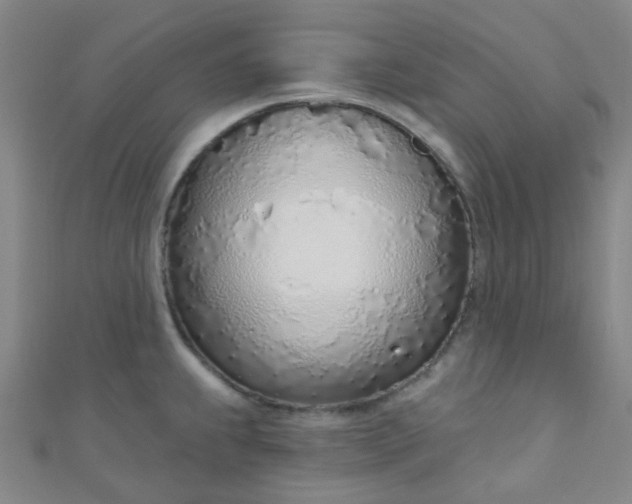 X0000110981239200907022049