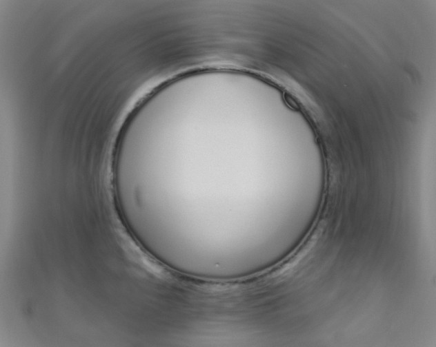 X0000110981240200907022049