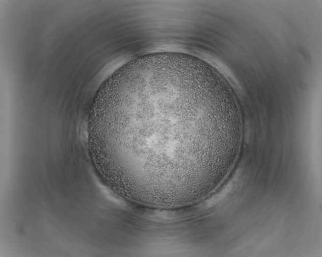 X0000110981241200907022049