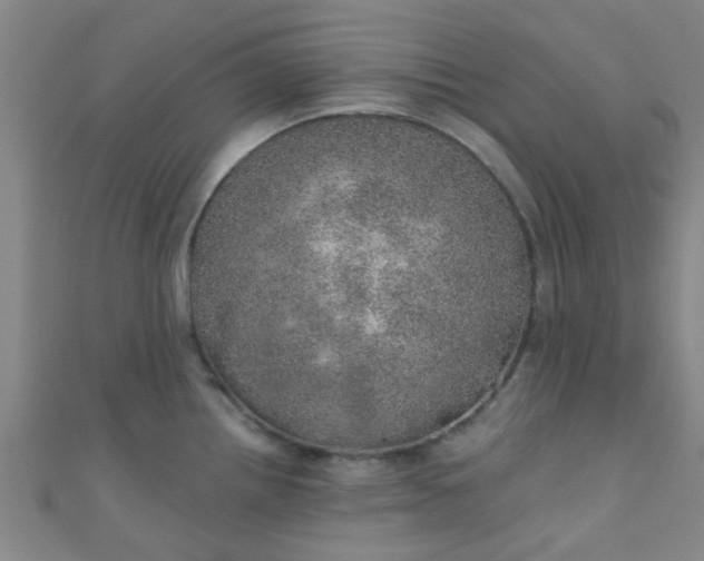 X0000110981242200907022049