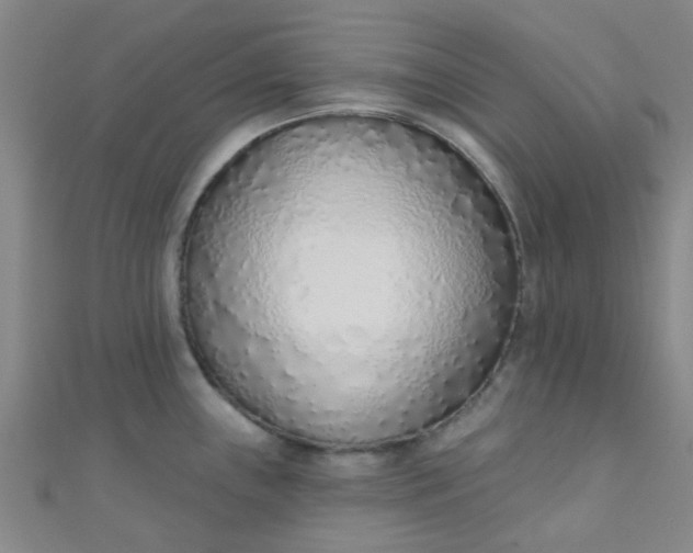 X0000110981243200907022049