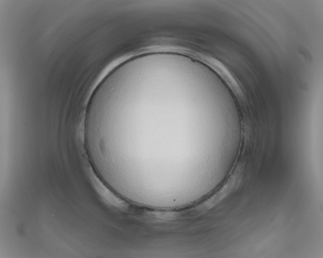 X0000110981244200907022049