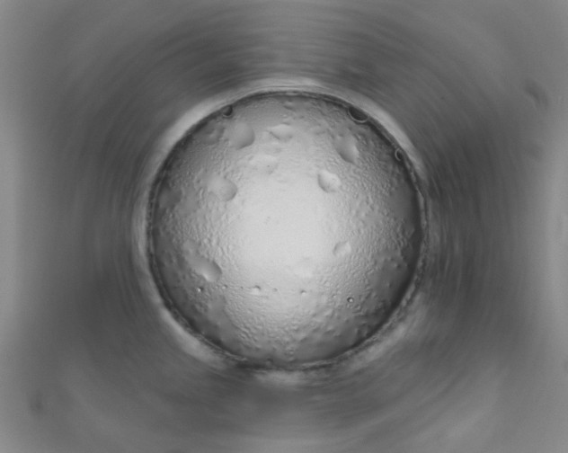 X0000110981245200907022049