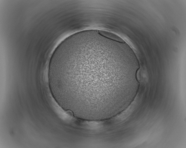 X0000110981246200907022049