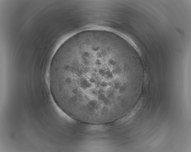 X0000110981247200907022049