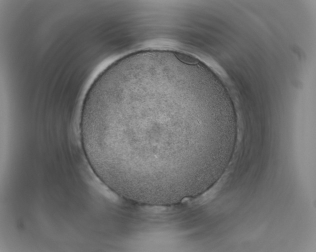 X0000110981248200907022049