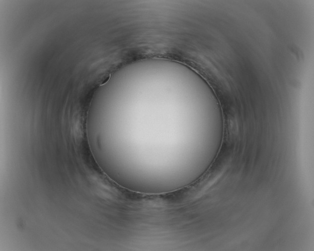 X0000110981250200907022048