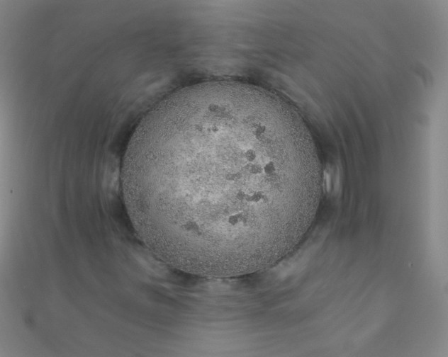 X0000110981251200907022048