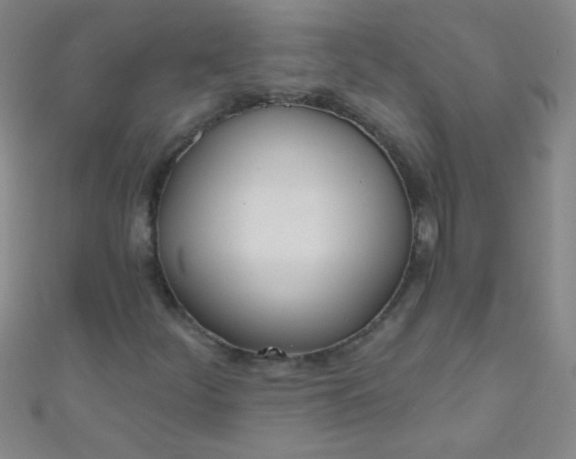 X0000110981252200907022048