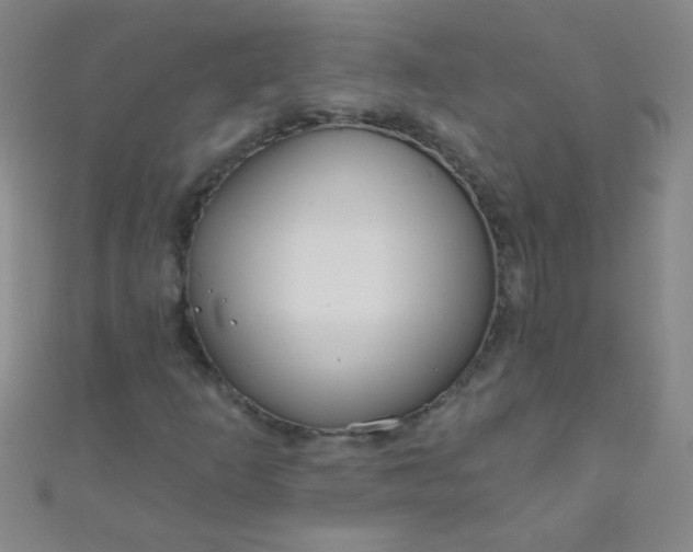 X0000110981253200907022048