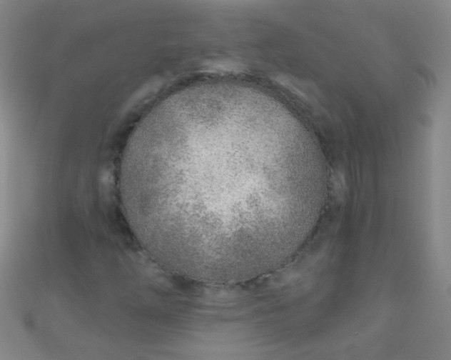 X0000110981254200907022048