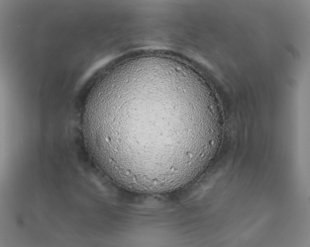 X0000110981255200907022048