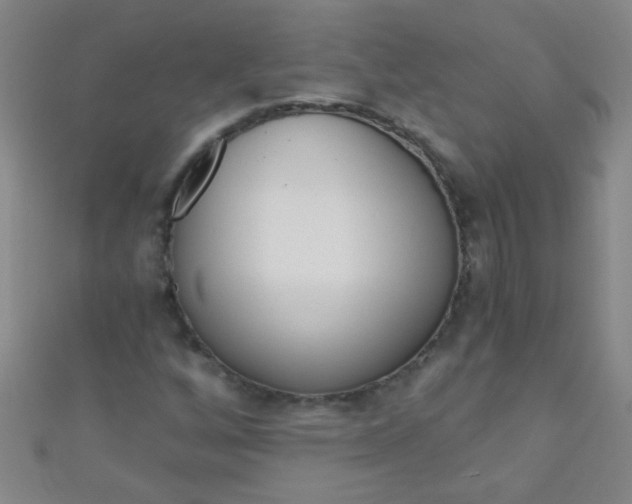 X0000110981256200907022048