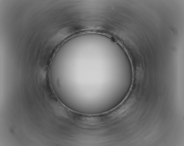 X0000110981257200907022048