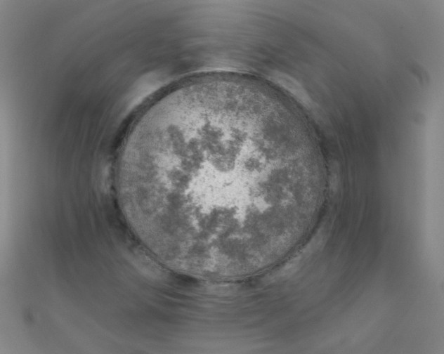 X0000110981258200907022048