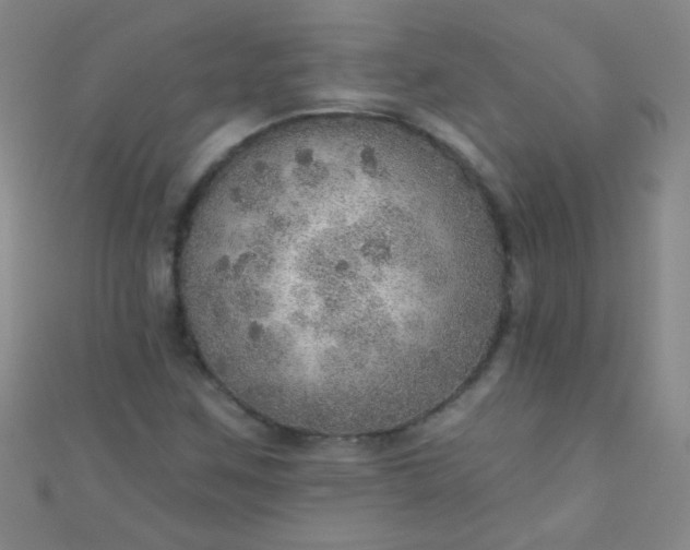 X0000110981259200907022048