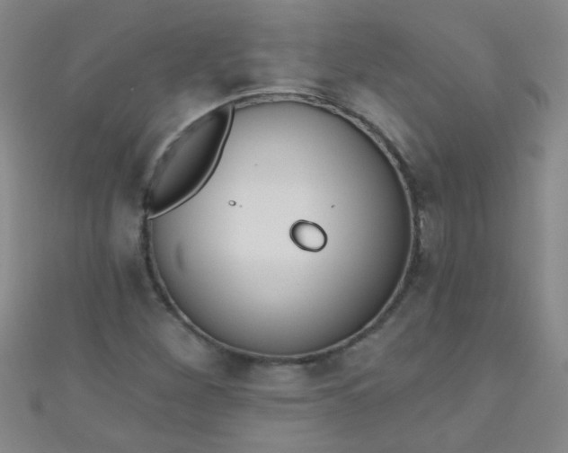 X0000110981260200907022048