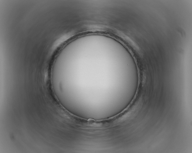 X0000110981261200907022048