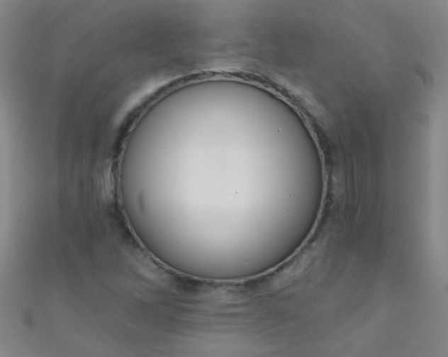 X0000110981262200907022048