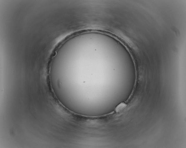 X0000110981264200907022048