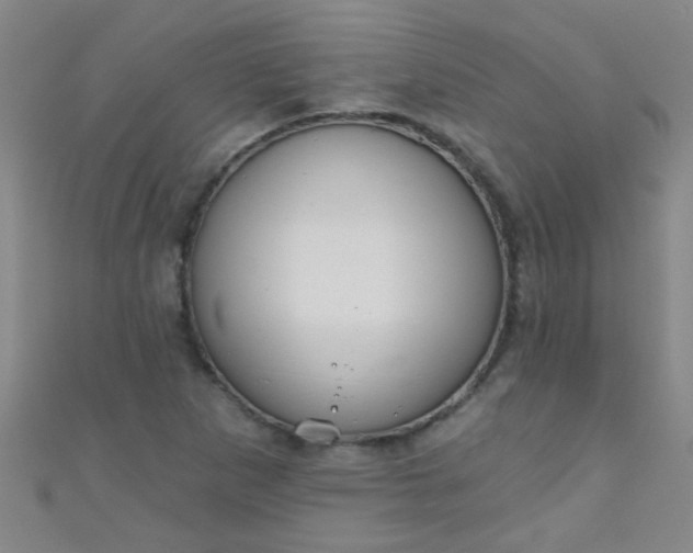 X0000110981265200907022048