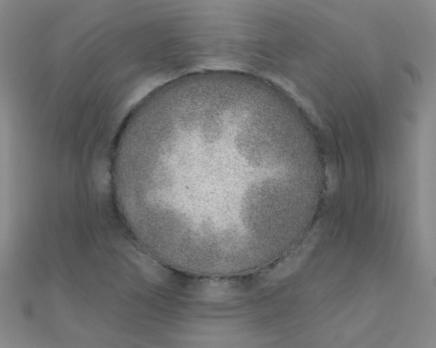 X0000110981266200907022048